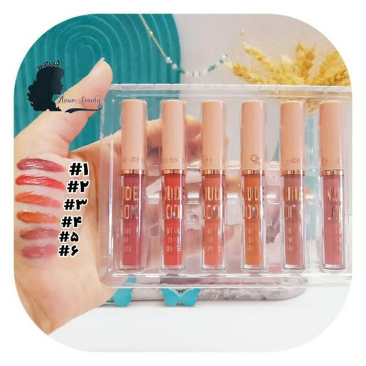 6 Pcs Nude Look High Pigment Matte Lipgloss