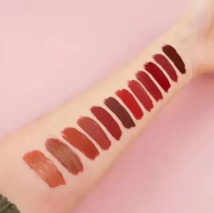 Nude Redish Shades Lipgloss- Pack Of 12 Waterproof
